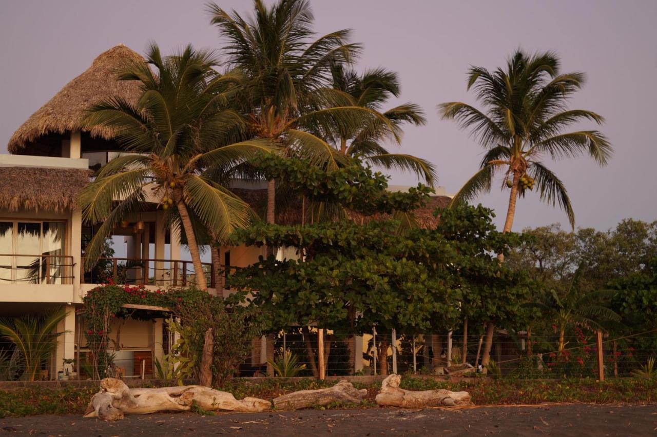 Transito Alive Beach House מראה חיצוני תמונה